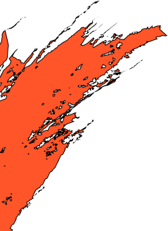 Footer shape 2